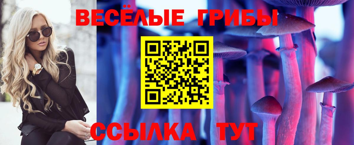 Псилоцибиновые грибы мухоморы Димитровград
